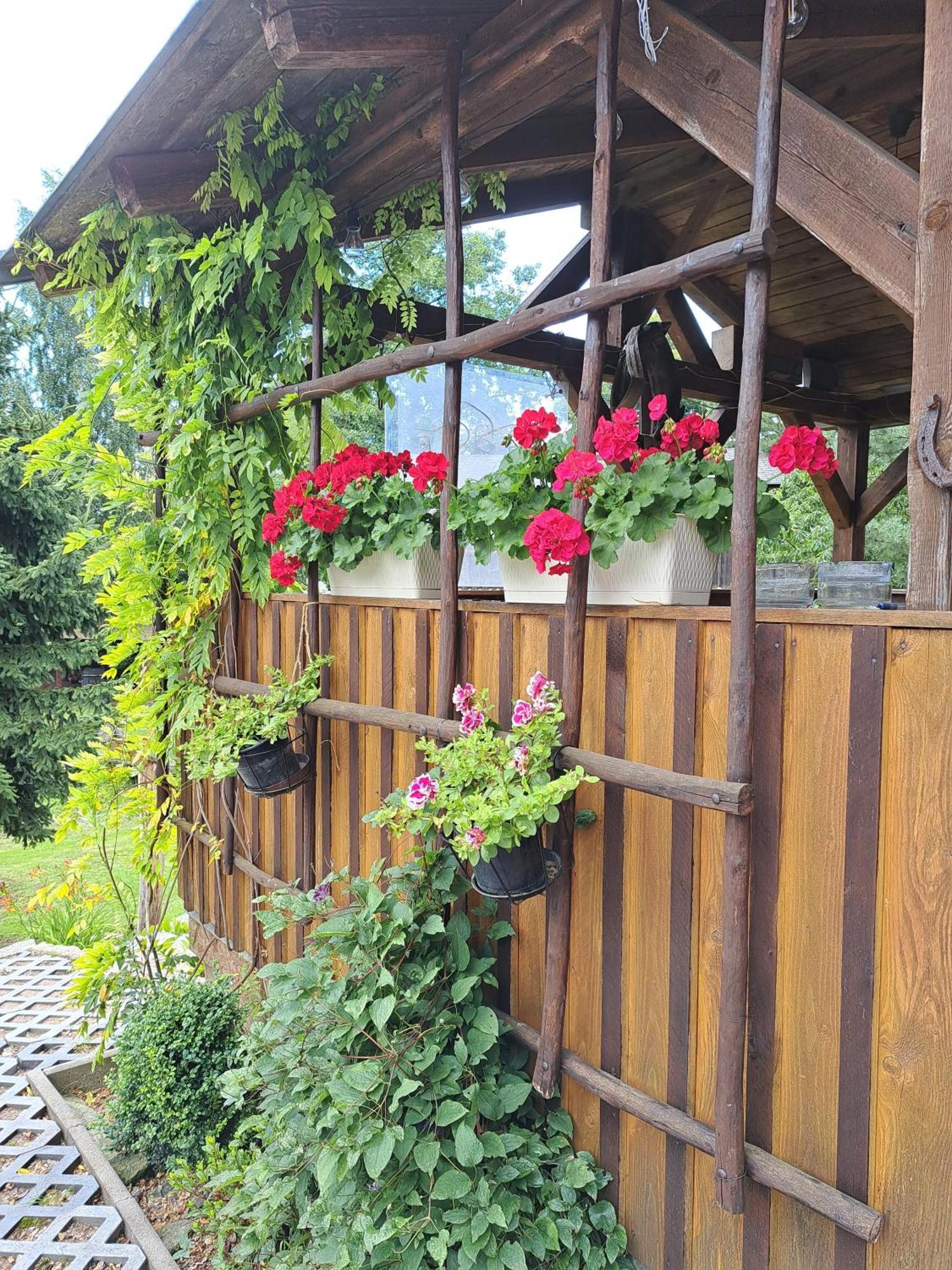 Penzion U Suchanku Mezimesti Buitenkant foto