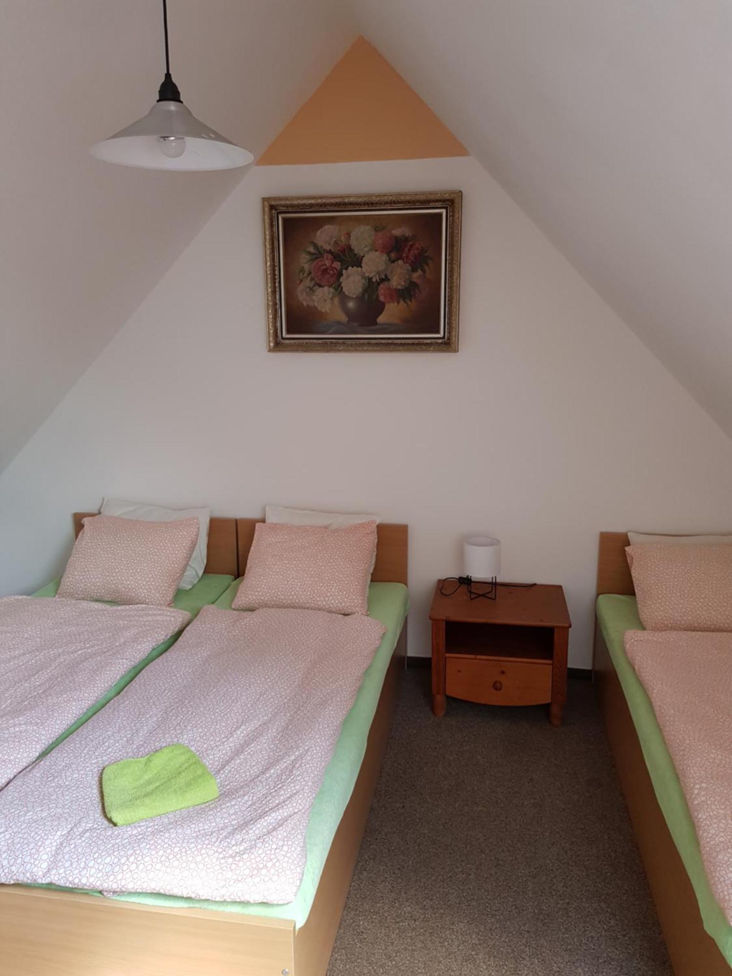 Penzion U Suchanku Mezimesti Buitenkant foto